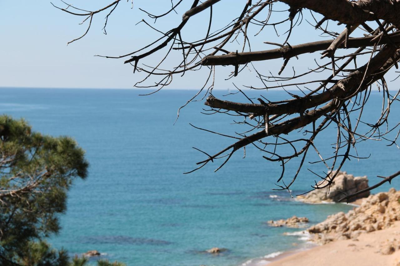 Hotel Terramar à Calella Extérieur photo